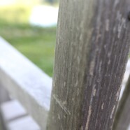 A Bench in the Sea Grass